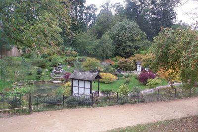 The Japanese Tea Garden at Kingston Lacy