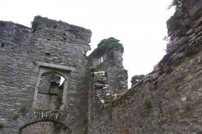 Berry Pomeroy Castle