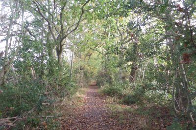 Footpath along the edge of the old Staithe near Stalham