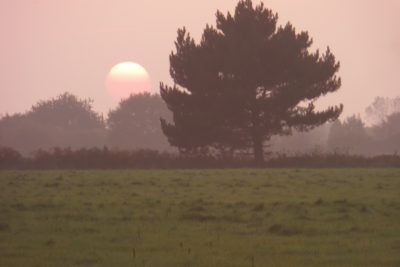 Sunset over Sutton