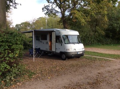 Bertie at Horsley