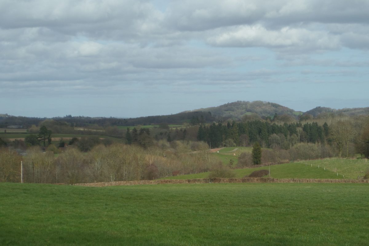 A view over the hills from a walk on the Brockhampton Estate