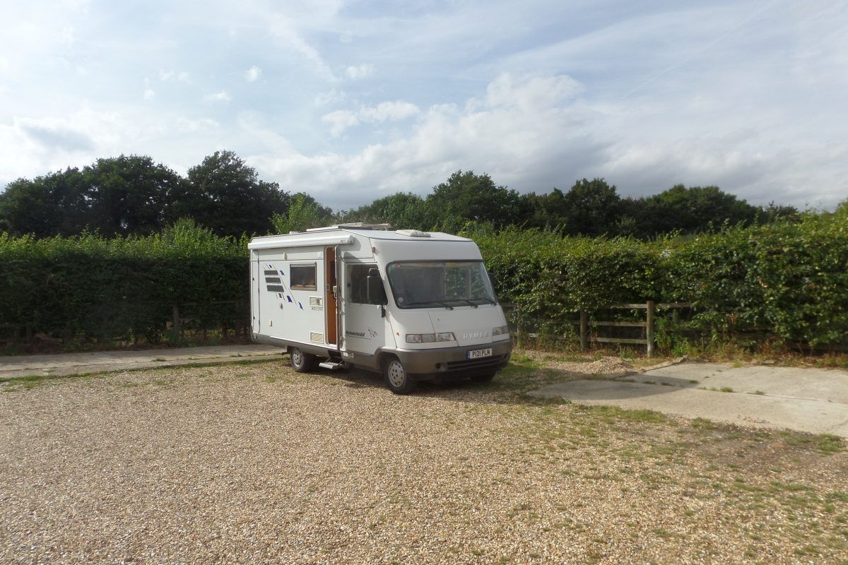 Bertie at Depden Farm shop