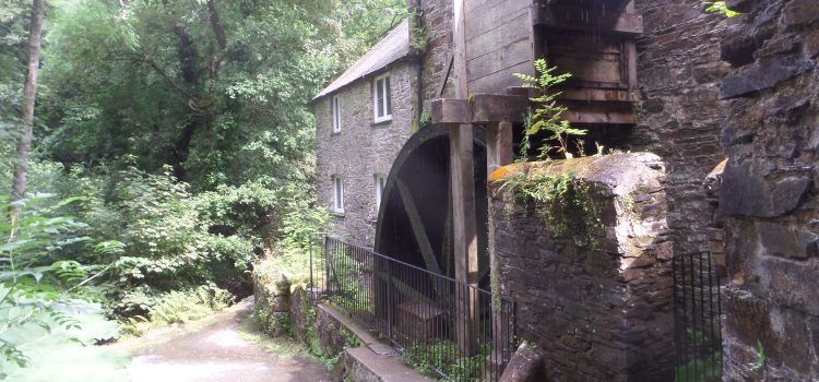 Cotehele and tiny Cornish Lanes