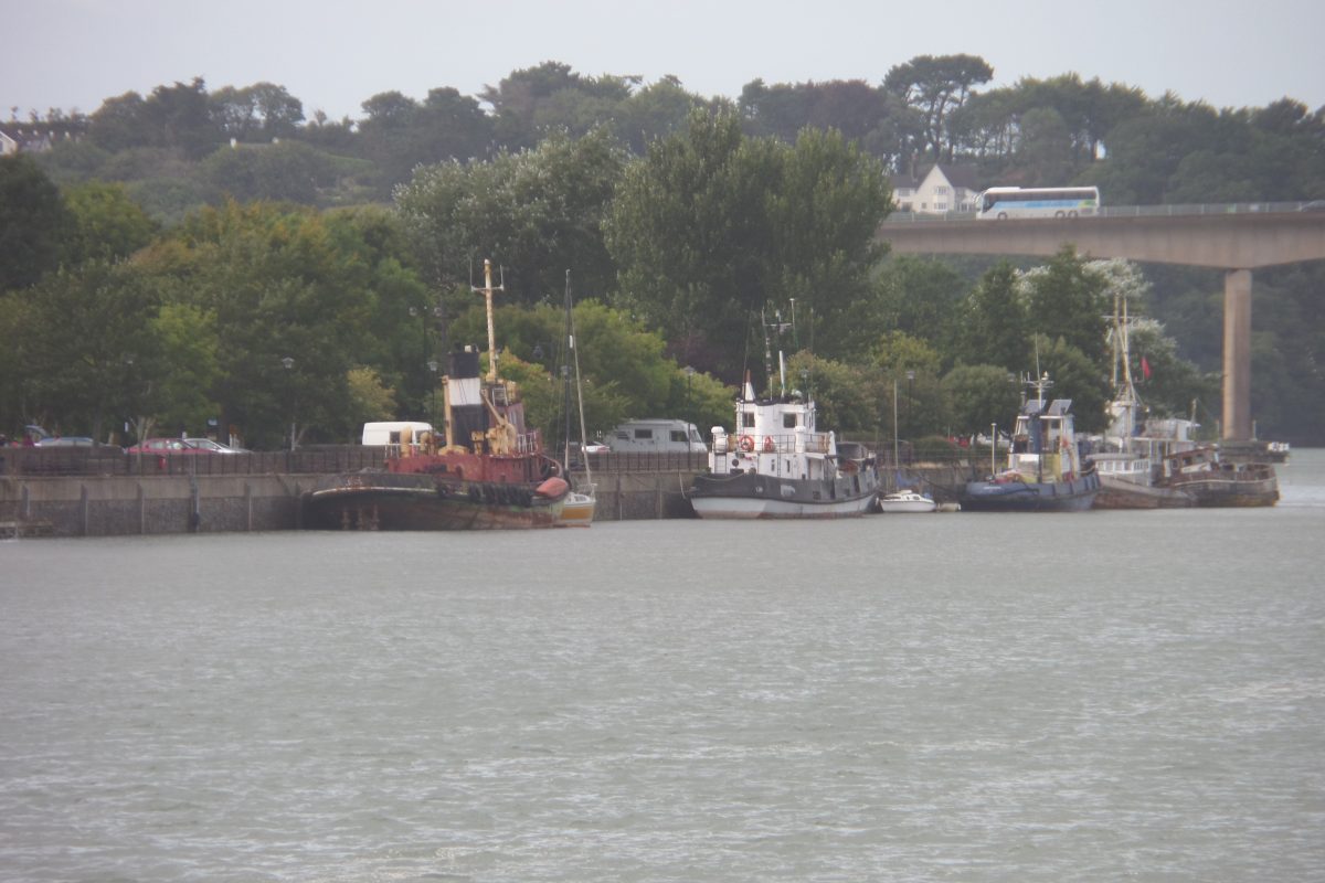 Bertie at the Bideford Riverbank Car Park