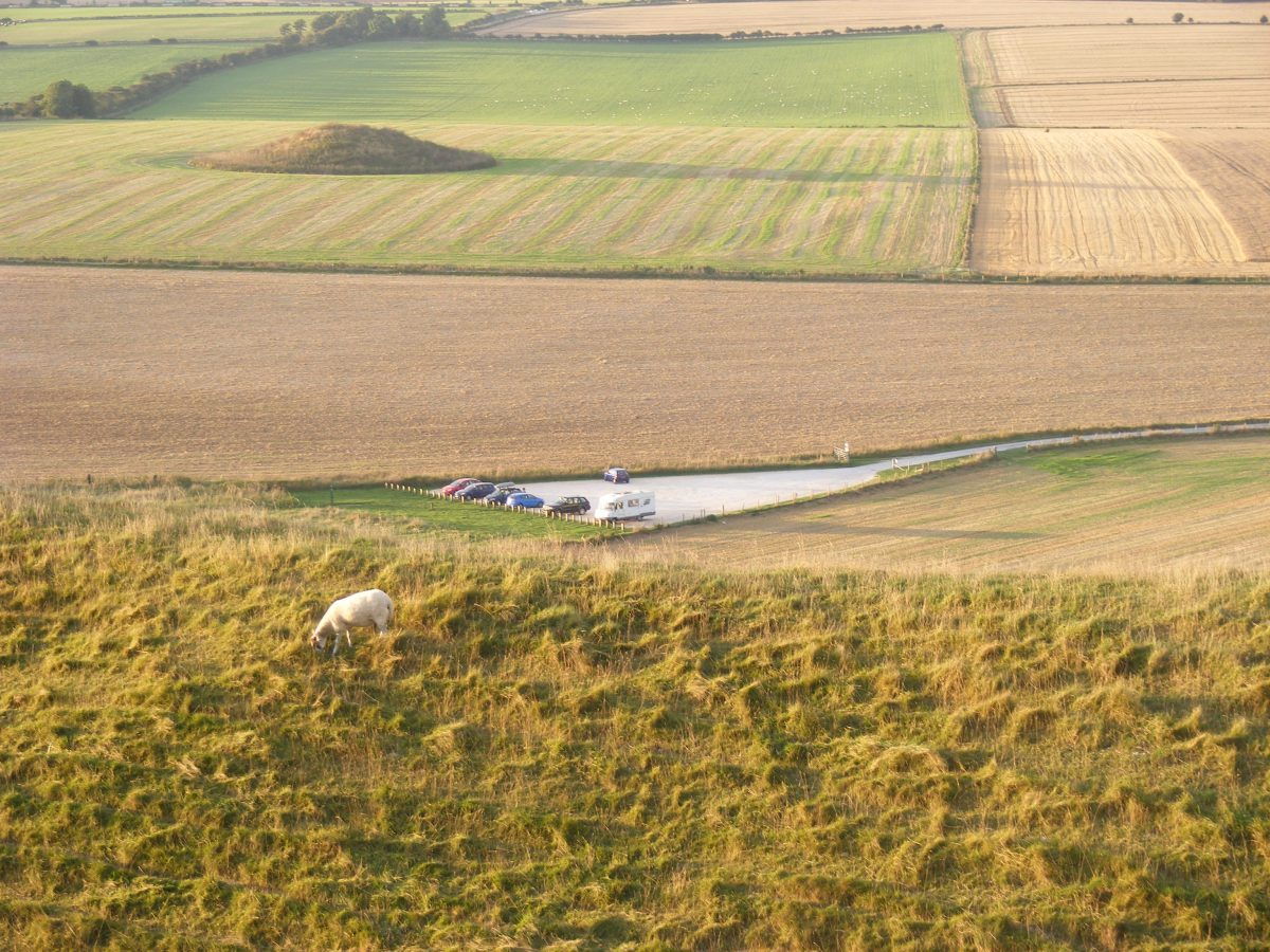 Bertie parked at Maiden Castle seen from the ramparts.