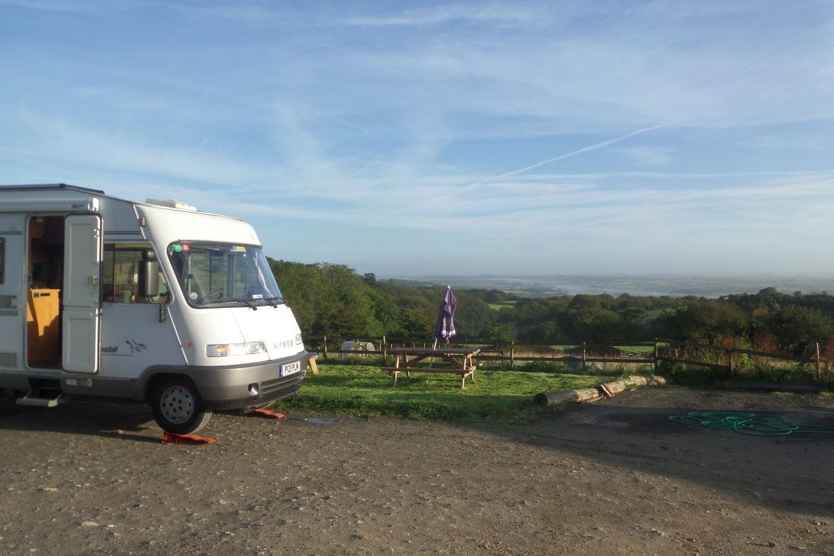 Bertie in the sun at Trevallicks Tea Shop