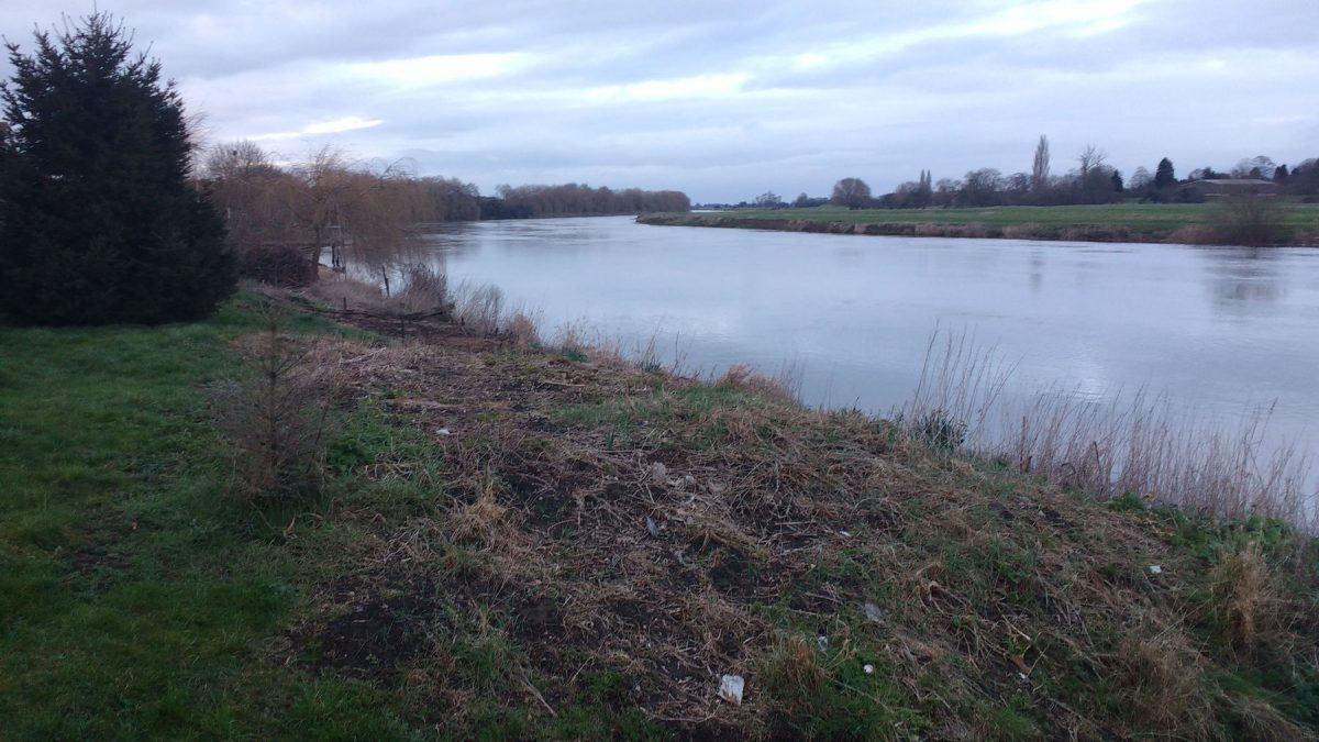 River Trent at Muskham Ferry