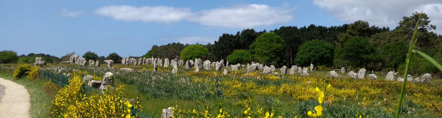 A corner of the Carnac Standing Stones