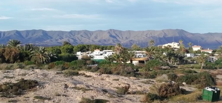 Tortuga Mora